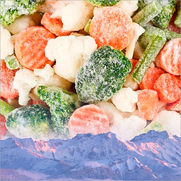 Камера VERSA: универсальное замораживание